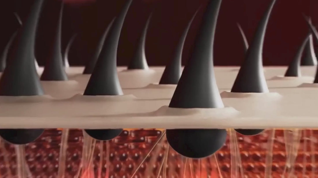 21df0e6ccfee4effb41fc068f0ee3398.HD-1080p-7.2Mbps-46687691.mp4__PID:c77e1fd5-f5e3-4d2d-950e-d3e25e2dd888